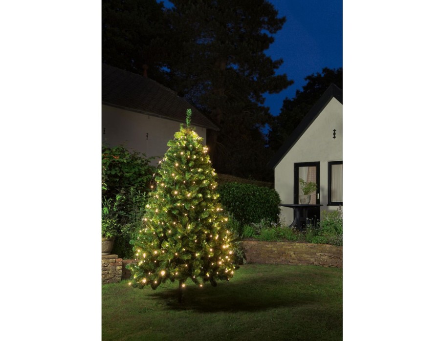 Weihnachtsbeleuchtung ANNA'S COLLECTION  | Netzleuchten 320L/ Fur 210-250Cm Baum Led Warm Weiss - 10M Laufkabel Grun - Bi-Bui Trafo Timer 8/16U